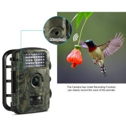 Wildlife Camera Trail Hunting Game 1080P 12MP HD Scouting Surveillance IP54 Camera