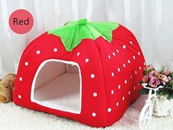 Strawberry Style Pet Dog Cat Bedding Sleep Lvpet Soft Sponge Dome Tent Bed Cushion Nest Xl- 4343 Cm Red Strawberry