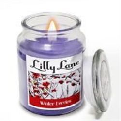 Lilly Lane Winter Berries Scented Candle Large