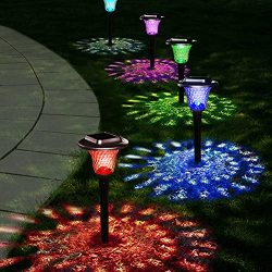 paw print garden lights