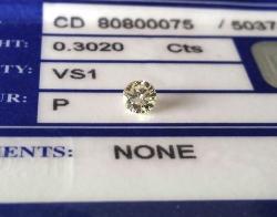 0.308ct Diamond E.g.l. Certified P Vs1