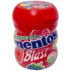 MENTOS Pure Fresh Mint Chewing Gum Bottle 57g