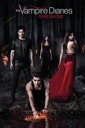 The Vampire Diaries Woods Poster 24 X 36IN