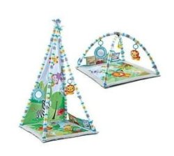 2 In 1 Baby Activity Play Gym And Removable Tent
