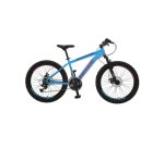 totem 24 inch mountain bike