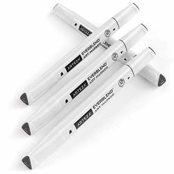 Arteza Everblend Art Markers Noir A5000 Set Of 4 Alcohol Based Sketch Markers With Dual Tips Fine And Broad Chisel For Painting Coloring Sketching And Drawing
