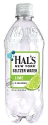 Hal's Ny Seltzer Water 20 Oz Bottles Pack Of 24 Lime