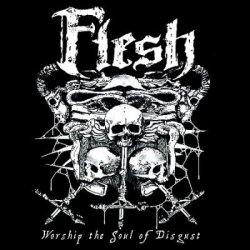 Worship The Soul Of Disgust Cd