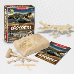 Junior Archaeology Dig Kit Crocodile