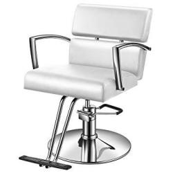 Baasha Hair Salon Chair With Hydraulic Pump Salon Styling Chairs White Beauty Salon Chair Beauty Hydraulic Chair Barber Salon Chair Hair Cutting Chair Beauty