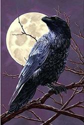 Diy Oil Paint By Number Kit For Adults Beginner 16X20 Inch - Moonlit Crow Drawing With Brushes Christmas Decor Decorations Gifts Framed