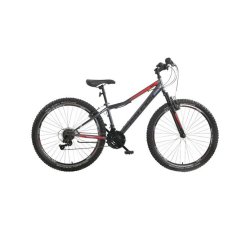 raleigh 26 mountain bike