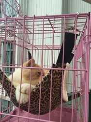 Cat Hammock Ferret Rat Rabbit Small Dogs Or Other Pet - Easy To Attach To A Cage - 3 Designs: Leopard