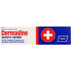 Dermadine Ointment 25G