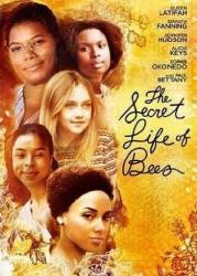 The Secret Life Of Bees DVD