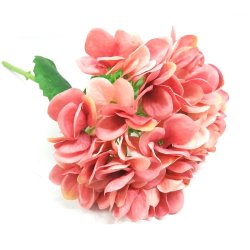 Hydrangea Strawberry Mousse