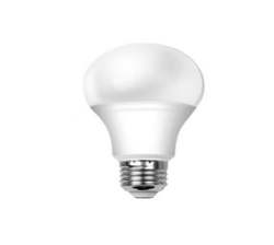 12W LED Light Bulb E27 Base 6500K Daylight. Daily Essentials.