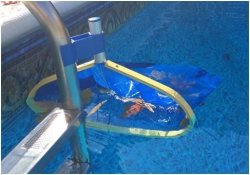 Leaf Net Skimmer Clip Pool Net Ladder 