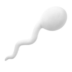 Alpi Sperm Stress Toy