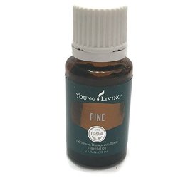 Pine Essential Oil 15ML By Young Living Essential Oils