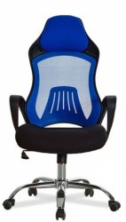 Inifinity Homeware Infinity Formula One Office Gaming Chair in Black & Blue