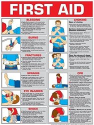 First Aid Laminated Poster 24 X 36