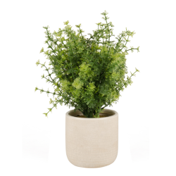 @home Bushy Fine Plant In White Pot 28cm