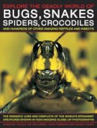 Explore The Deadly World Of Bugs Snakes Spiders Crocodiles - And Hundreds Of Other Amazing Reptiles And Insects Hardcover