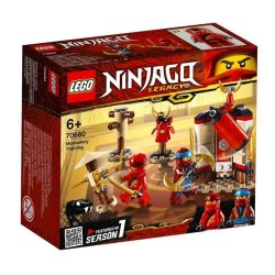 Lego Ninjago Monastery Training