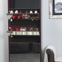 Double Capacity Mirrored Shoe Cabinet in Brown