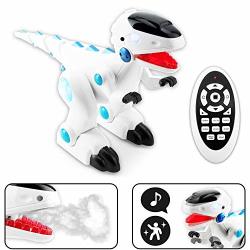 Boley RC Dinosaur Robot Music Infrared Remote Control Dinosaur T-Rex Toy Robot with Mist Kids Robotic Dinosaurs Toys for Boys and Girls and Lights