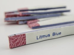 Litmus Blue Paper Box 100