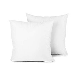 Deals On Edow Throw Pillow Insert Set Of 2 Hypoallergenic Down