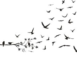- Fly Away Birds 2013 Vinyl Stickers