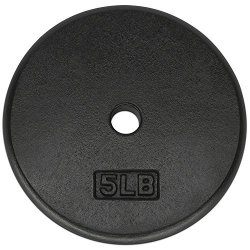YES4ALL 1-INCH Cast Iron Weight Plates For Dumbbells Standard Weight Disc Plates 5 Lbs Single