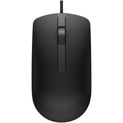 Dell Optical Mouse - MS116 Black
