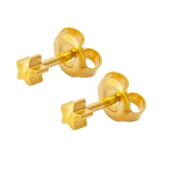 MEDISYSTEM - Surgical Steel Gold Star Stud Earring