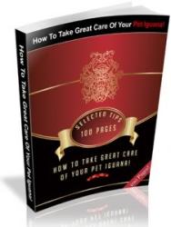 How To Take Great Care Of Your Pet Iguana - Ebook