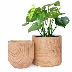 Homenote Plant Pots Indoor 6 4.8 Inch Pack 2 Ceramic Planter Flower Pots With Natural Wood Texture
