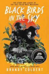 Black Birds In The Sky - Brandy Colbert Paperback