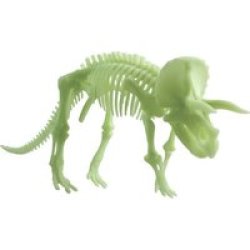 Edu Toys Glow In The Dark Triceratops Skeleton 22CM