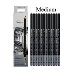 Artist Quality Sketch Pencils Medium 12PCS Charcoal Pencils Non-toxic Drawing Pencil Tools Set For Fine Art Supplies