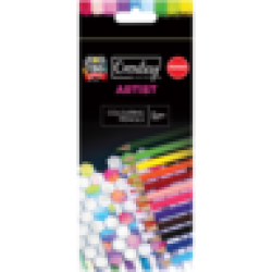 Premium Artist Colouring Pencils 12 Pack