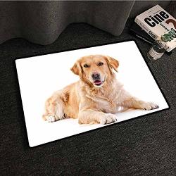 Mkedci Thin Door Mat Golden Retriever Young Pedigree Puppy Laying Over White Background Sweet Baby Dog Easy To Clean W20 XL31 Sand Brown White