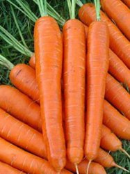 Carrot Nantes Seed - 5 G Raw Seed