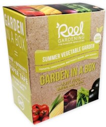 Summer Vegetable Garden In A Box