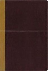 Kjv Amplified Parallel Bible Large Print Leathersoft Tan burgundy Red Letter Edition - Two Bible Versions Together For Study And Comparison Leather Fine Binding