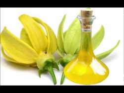 Ylang Ylang Essential Oil10 Ml 1 3 Oz . 100% Pure Undiluted