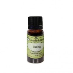 Umuthi Botanicals Buchu Essential Oil Agathosma Betulina