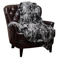 Chanasya Fuzzy Faux Fur Throw Blanket - Soft Light Weight Blanket For Bed Couch And Living Room Suitable For Fall Winter And Spring 50X65
